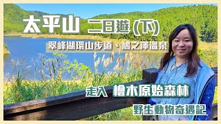 太平山二日遊(下): 翠峰湖步道 / 鳩之澤溫泉 / 原始檜木林奇遇記