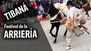 TIBANÁ y su espectacular FESTIVAL de la ARRIERÍA lo mejor en 2024