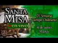 Rosario y Santa Misa ⛪ Martes 4 de junio 7:00 a.m.⚜️ Heraldos del Evangelio