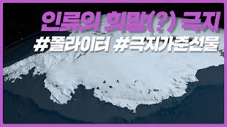 인류의 희망(?) 극지