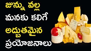 జున్ను వల్ల అద్భుతమైన ప్రయోజనాలు.. Junnu (Colostrum Milk) Benefits - PicsarTV