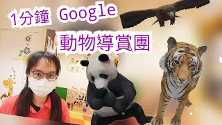 Google 3D 動物來到 Kidversity | 1分鐘 Google 3D animals 導賞團