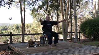 Seated Qigong 'The Five Animals'