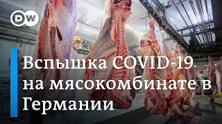 Новая вспышка коронавирусной инфекции на мясокомбинате в Германии