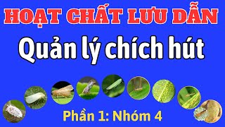 Hoạt chất lưu dẫn quản lý nhóm chích hút | Phần 1: 9 hoạt chất nhóm 4 | Sản phẩm MKA