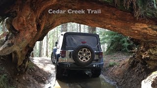 Cedar Tree Trail #13 in Tillamook Oregon