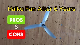 FAST REVIEW - Haiku Fan | Is It Worth It?