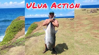 Daytime Ulua Action Big Koa's 64 poundah. *Raw Footage