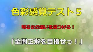 色彩感覚テスト５「全問正解を目指せっ！」