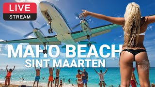 Maho Beach | Sint Maarten | SXM Airport ✈️ LIVE WEBCAM