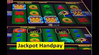 Massive!! Jackpot Handpay on Wild Panther Wonder 4 Collection!! Aristocrat Game