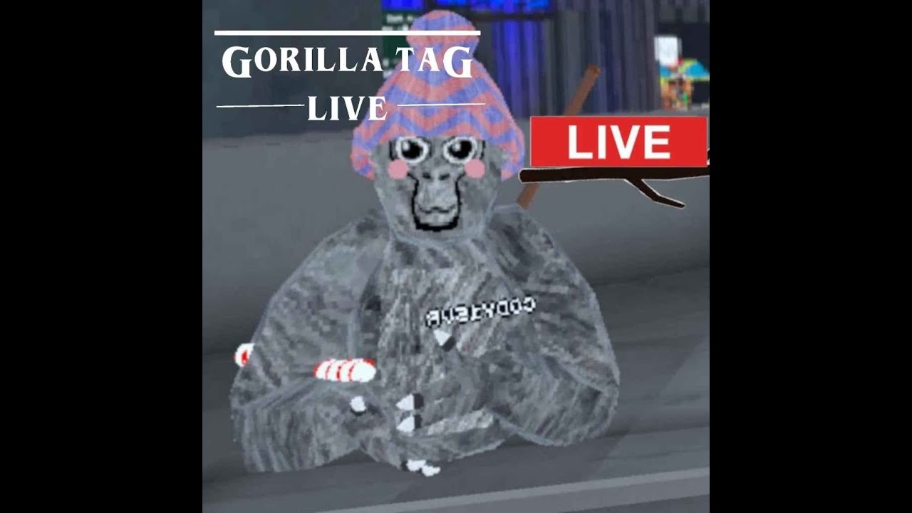Gorilla Tag Live Youtube
