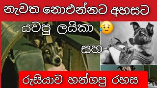 නැවත නොඑන්නට අහසට යවපු ලයිකා....