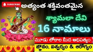 16 Powerful Names of Shyamala Devi with their meanings 🙏🙏🔱🌺🦜🪷