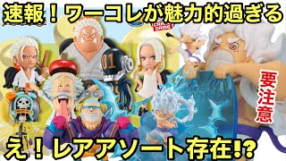 プライズがヤバい！ギア5やエッグヘッドのフィギュアが激熱！これは見逃せない！ワーコレ エッグヘッドにレアアソートがある！！？明日から要注意！ワンピース フィギュア情報