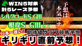 【根岸S シルクロードS2025】日本一ギリギリ予想！期待値グラフ競馬予想！WIN5対象5レース！