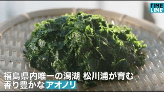 【必見】初公開！松川浦産あおさ製造工程