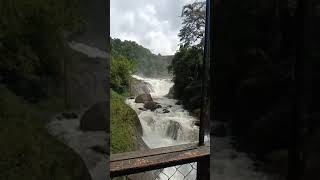 Hanging bridge | Ponmudi Dam 2022