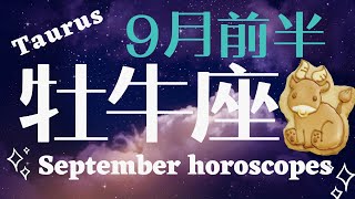 《牡牛座♉️2024年年 9月前半》年末まで大丈夫！自分の信念や感覚を貫いて豊かになれる