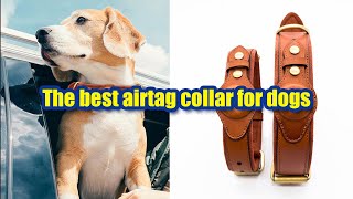 The Best Leather Colllar for Dogs