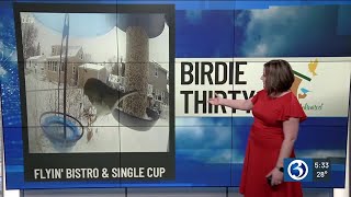 BIRDIE THIRTY: Flyin' Bistro \u0026 WBU Single Cup Feeder - EWN at 5:30am on 2-9-2025