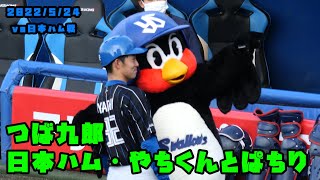 つば九郎　日ハム・谷内くんとぱちり　2022/5/24 vs日本ハム