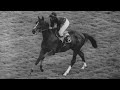 1965 Prix de l'Arc de Triomphe (Sea Bird)