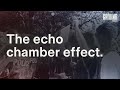 The Echo Chamber Effect