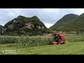 4QZ-2200 silage harvester use feedback