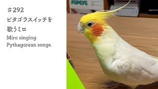 ♯292　ピタゴラスイッチを歌うミロ｜Miro singing Pythagorean songs.