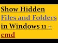 Show hidden Files and Folders Windows 11