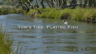 Playing Fish Properly