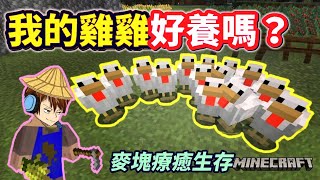 【Minecraft】我的雞雞好養嗎❓跟小光在麥塊世界裡～創造了一塊開心農場「史上最療癒的小雞雞生存‍🐤」