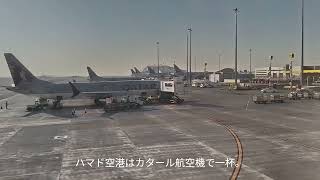 Mohak diary 23 : ハマド空港ビジネスクラスラウンジからカタール航空Qスイートでアムステルダムへ