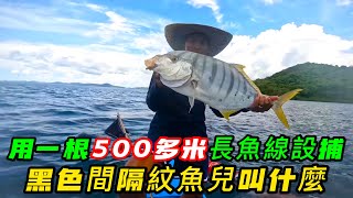 用一根500米長的魚線，捕獲身上長滿黑色間隔紋的魚兒，今天的收入不菲《荒野大餐》第二季 20