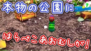 このアプリは「はらぺこあおむし」が本物の公園にいるみたい！実際の公園にいるように遊べるスマホのARアプリがすごい！【The very hungry caterpillar park】