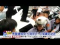 拒捕開槍噴辣椒水 男亮槍自撞遭逮│中視新聞20160510