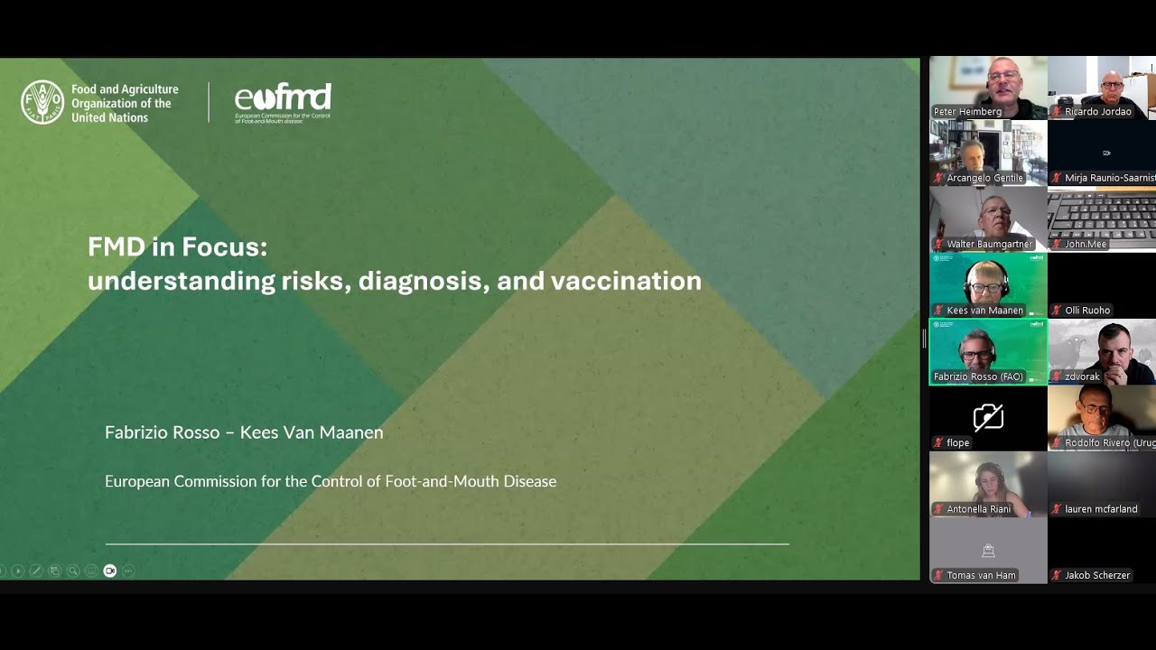 Wab Webinar No16 Fmd By Eufmd Youtube
