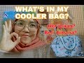 SHARING ISI COOLER BAG BESERTA HARGANYA