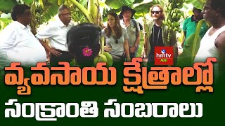 Sankranti Celebrations in Agriculture Fields | Nagaratnam Naidu Farm House | hmtv Agri