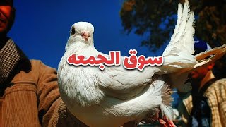 أغرب سوق فى مصر🇪🇬 سوق الجمعه بالسيده عائشه 💥