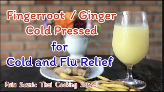 Fingerroot - Ginger Cold Pressed for Cold and Flu | Thai Herbs Drinking | Thai Cooking Class Online