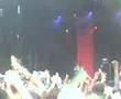 midnite reggae sundance