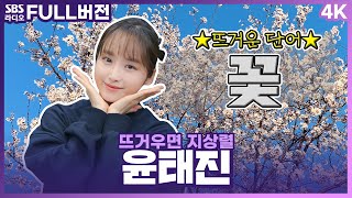 [FULL][4K] 꽃가루를 날려〰🌸 꽃놀이 함께 가고 싶은 윤태진 아나운서 보는 라디오 | 뜨거우면 지상렬 | 230327