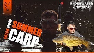 UNDERWATER ANSWERS: CATCH MORE SUMMER CARP