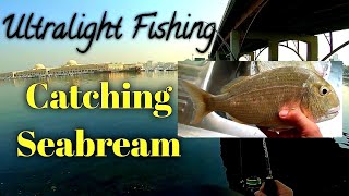 Seabream on Softbait Softplastic Ryobi Ultrapower 1000  Ultralight Fishing | Shore fishing UAE