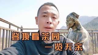 梅子箐锅底塘古茶园修建观光步道，看茶园必走，就是太陡怕上不去