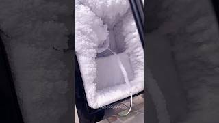 Asmr freezer frost ice eating #shorts