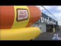 ketchup with the oscar mayer wienermobile in the rogue valley