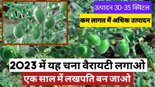 jaki 9218 chana । जाकी 9218 चना वैरायटी । कम लागत में उत्पादन 30 से 35 क्विंटल । chana ki kheti ।